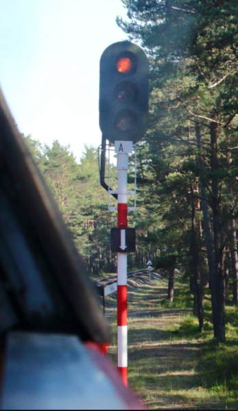 File:W19.png